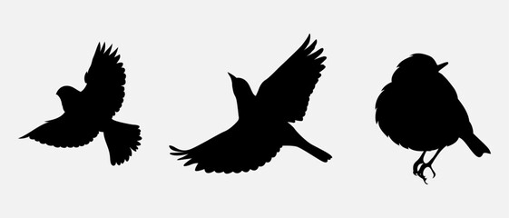 isolated black silhouette of a bird, vector collection
