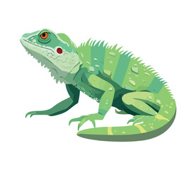 Cute green gecko in isolated