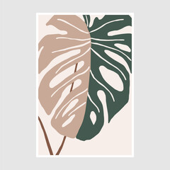 Tropical leaf monstera. Hand drawn vector illustration in minimal style