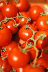 Organic tomato bunch harvest during summer season. Farming concept image of delicious nutritious cherry tomatoes
