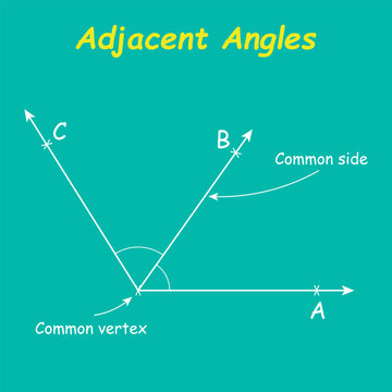 Adjacent angles in mathematics. Two angles with common vertex and side. Vector illustration isolated on chalkboard.