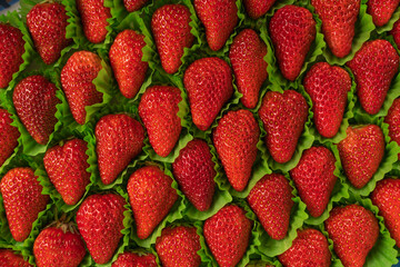Strawberry factory packaging for wholesale