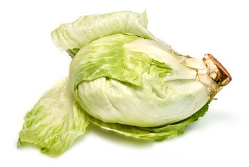 lechuga