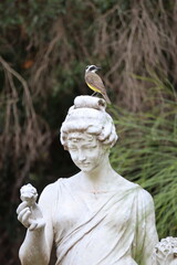 Bird on statue