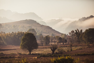 Amazing watercolor view of foggy morning landscape with farm fields at Thanlwin river. Hpa An,...