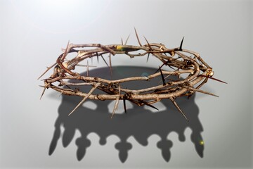 Wreath Of Thorns and  Crown Shadow on the desk