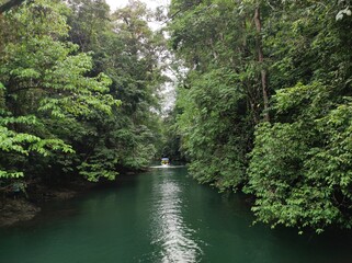 Green river (Agujitas river) found in Drake Bay, Costa Rica