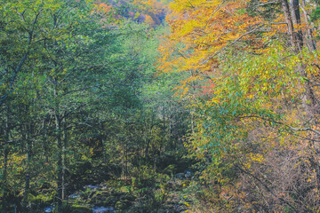 the fall season landscape of the Takayama countryside, Japan 31 Oct 2013