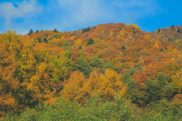 the fall season landscape of the Takayama countryside, Japan 31 Oct 2013