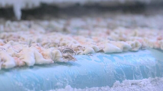 Shellfish and squid skewers are misted and flash frozen ready for transport