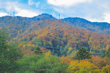 Fototapeta premium the fall season landscape of the Takayama countryside, Japan 31 Oct 2013