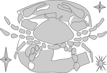 Star horoscope zodiac symbol logo illustration vector sketch