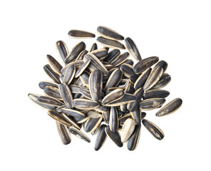 Sunflower seed isolated on transparent png