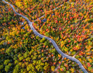 Windy road in the colorful autumn forrest in Wisconsin