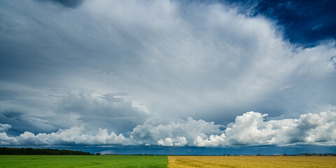 Golden fields next to lush green fields under a Sumer storm cloud