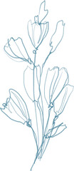Sketch branch with leaves, outline floral botanical illustration