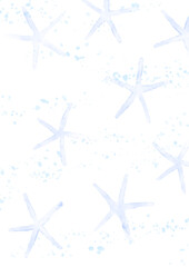 Obraz premium ヒトデの夏イメージ2