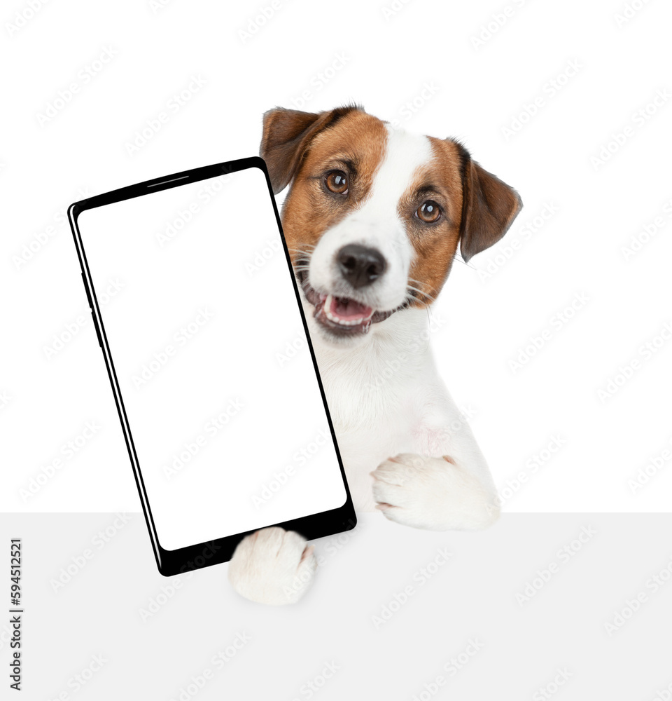 Poster jack russell terrier puppy holds big smartphone with white blank screen in it paw, showing close to 