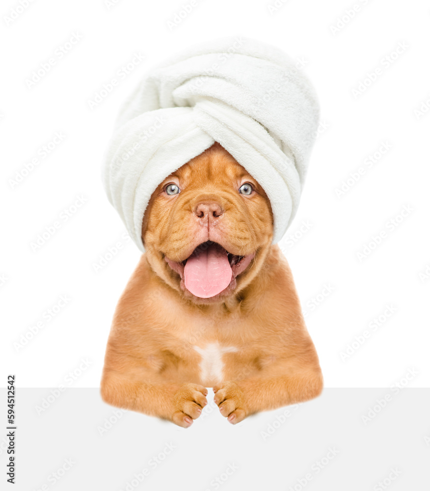 Aufkleber Portrait of a funny puppy with towel on it head looks above empty white banner. isolated on white background