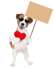 Happy jack russell terrier puppy wearing holds red heart and shows empty placard. isolated on white background