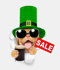 Saint Patrick's Day concept.Happy mastiff puppy wearing sunglasses and green leprechauns top hat ...