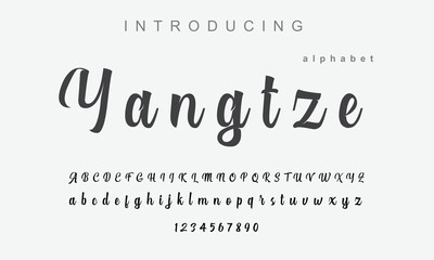 Yangtze font. Elegant alphabet letters font and number. Classic Copper Lettering Minimal Fashion Designs. Typography fonts regular uppercase and lowercase. vector illustration