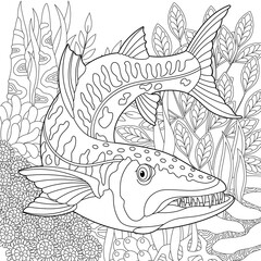 Underwater scene with a barracuda fish. Adult coloring book page with intricate mandala and zentangle elements.
