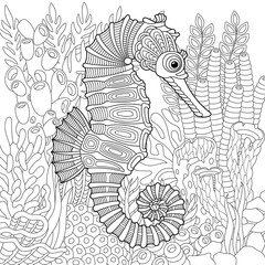 Underwater scene with a seahorse. Adult coloring book page with intricate mandala and zentangle elements.