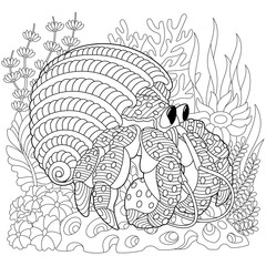 Underwater scene with a hermit crab. Adult coloring book page with intricate mandala and zentangle elements.