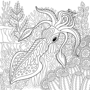 Underwater scene with a squid. Adult coloring book page with intricate mandala and zentangle elements.