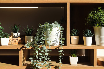 Shelving unit with artificial plants near light wall