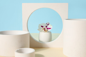 Decorative plaster podiums and beautiful orchid flower on beige table against blue background