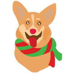 Corgi dog with Christmas scarf