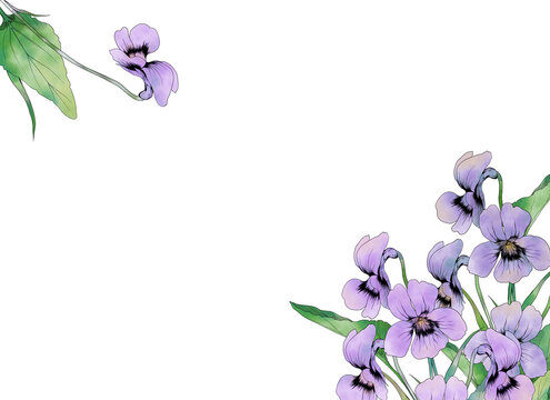 水彩で描いたスミレの花のフレーム素材
