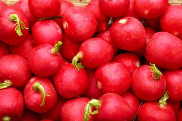 Fototapeta na wymiar Fresh ripe radish as background, closeup