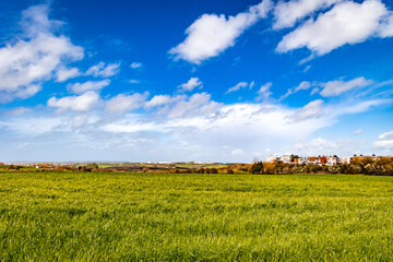 Village à l'horizon derrière un champ