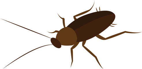 cockroach vector image insect image
