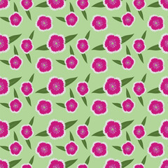seamless pattern with flowers vector