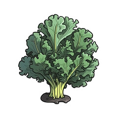 Kale In Cartoon Style Stiker On White Background On Isolated Transparent Background, Png, Logo. Generative AI