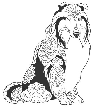 recommend clip art: Cute shetland sheepdog dog design. Animal coloring page with mandala and zentangle ornaments.