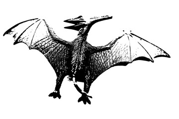 black dinosaur silhouette isolated on white background, model of pteranodon toys © sutichak