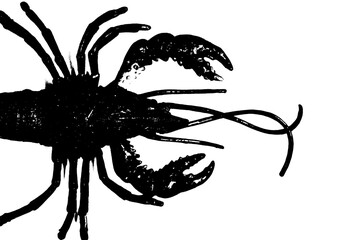 silhouette of lobster shrimp isolated on white background, invertebrate animal