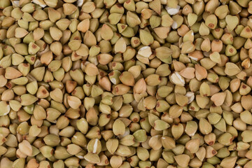 organic bio buckwheat