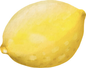 Watercolor Lemon Illustrator