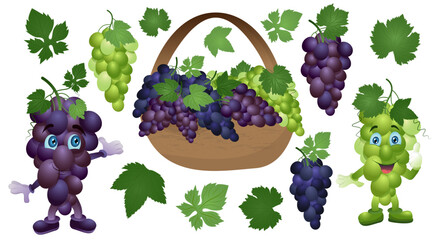 Set of green, purple and blue table grapes with leaves. Vector illustration realistic style white background.