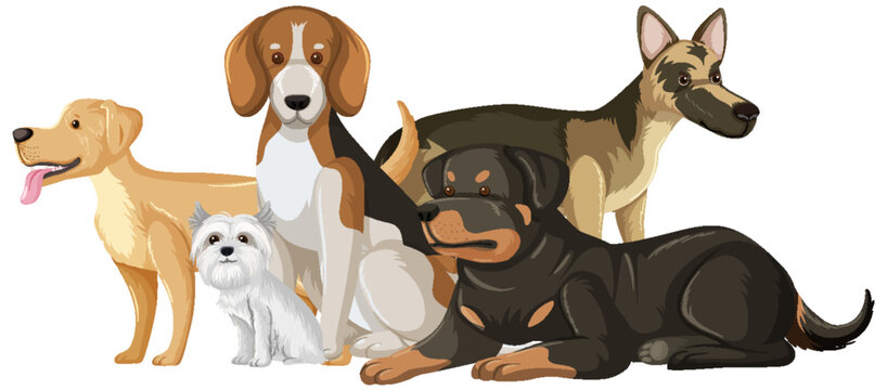 Set of dog dog breeds cartoon