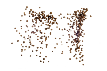 Freeze motion of flying mix of allspice isolated on white background. Concept of flying food.