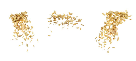 Set of Pumpkin Seeds Falling in Free Motion Bulk. isolated Over White Background. Zero gravity food concept.