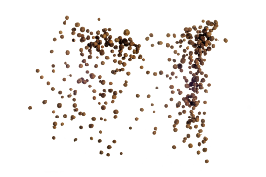 Freeze motion of flying mix of allspice isolated on white background. Concept of flying food.