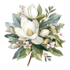 Watercolor drawing of a Magnolia with leaves. Botanical illustration. White color floral bouquet.